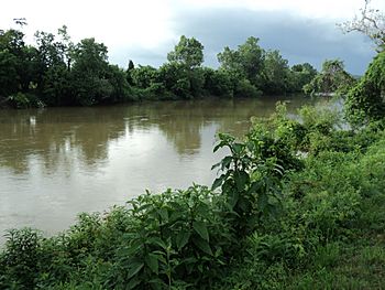 Dan River Danville Virginia.JPG