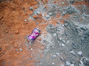 Discarded beverage can (29573613)