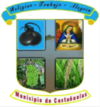 Official seal of Castañuelas