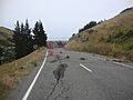 Evans Pass Road below Evans Pass 745