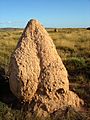Exmouth caperange termitehill
