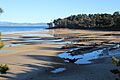Exploring low tide in morning light at Daniel's Bay, Lunawanna (33912888775)