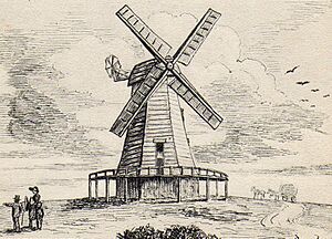 Fairlight Mill