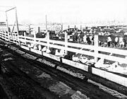 Feedlot at Picture Butte (3390339729)