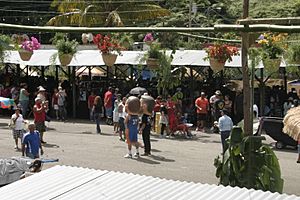 Fiesta del Acabe del Café in Maricao in 2014