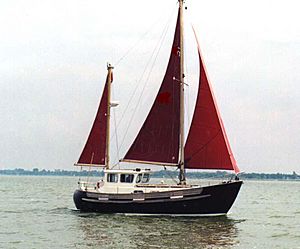 Fisher30