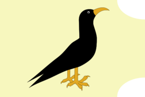 Flag of the Newquay Battalion of the Cornwall Home Guard