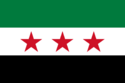 Flag of Syria