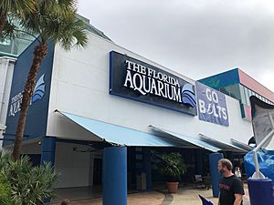 Florida aquarium 1.jpg