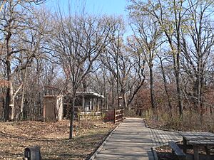 Fontenelle Forest boardwalk trails 1