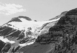 Grant Glacier 1998.jpg