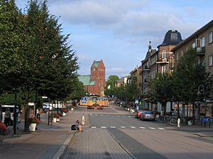 Central Hässleholm