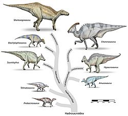 Hadrosaur-tree-v4