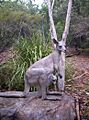 Kangaroo-and-joey-sculpture at Queens Park in Ipswich