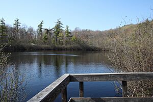 Lake Louise in Penwood State Park 3, 2010-04-11