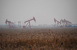 Liaohe oil field