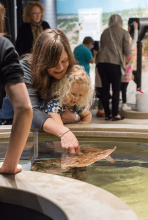 Living Seashore Exhibit