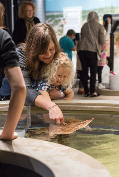 Living Seashore Exhibit