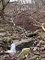 Locust Grove Falls