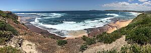 Looking South to Dee Why Beach (23631142524)