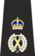 Metropolitan Assistant Commisioner Insignia (Tudor Crown).svg