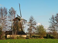 Molen De Leijen, Staphorst (3)