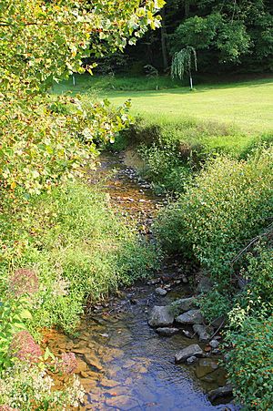Mouse Creek looking upstream