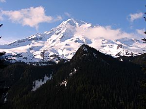 Mt Rainier (30ee6e4295094dc39f237dc4983dd693)