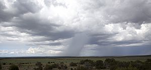 New Mexico Monsoon 2011