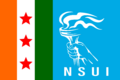Nsui flag