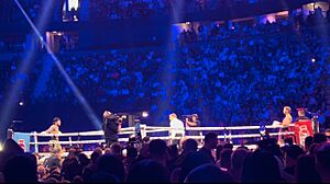 Paul vs Danis during their boxing match
