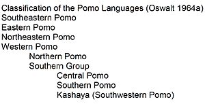 Pomo Language