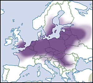 Pseudanodonta-complanata-map-eur-nm-moll.jpg