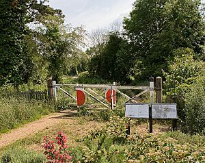 Remains of Bishop's Waltham to Botley branch railway line - geograph.org.uk - 842720