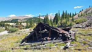 Remains of an Abandoned Mine's Cabin Structure in Colorado's Leadville Mining District