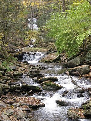 Ricketts Glen State Park Erie Falls 5