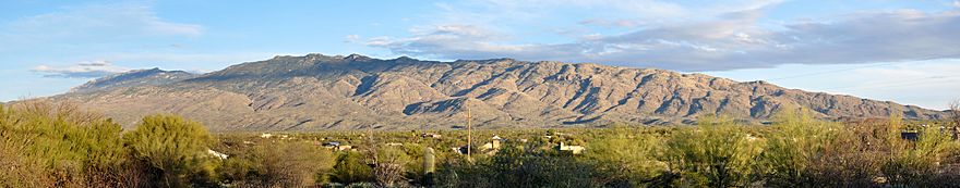 A sparsely vegetated range of mountains rises above a populated area with trees, shrubs, and cacti.