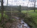 River Grizedale - geograph.org.uk - 1031685