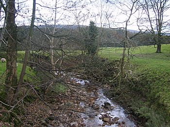 River Grizedale - geograph.org.uk - 1031685.jpg