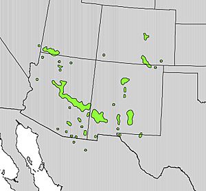 Robinia neomexicana range map.jpg