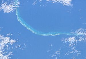 Saumarez Reef1