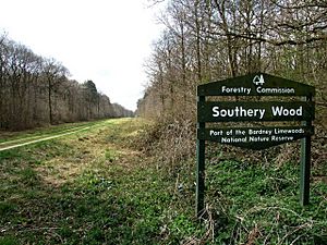 Southrey Woods, near Bardney - geograph.org.uk - 1569196