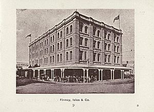 StateLibQld 2 258504 Finney, Isles and company building, Brisbane, 1902