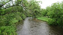 Sturgeon River (Wolverine, MI)