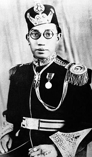 Sultan Ahmad Tajuddin portrait