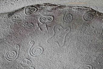 Taino petroglyphs, Puerto Porico — Geoff Gallice 001.jpg