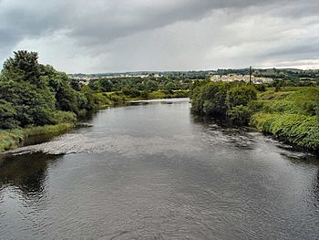 The River Finn - geograph.org.uk - 483019.jpg