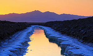 The Salt Ponds of Amboy at Sunset