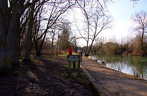 The Thames Path on Fiddler's Island - geograph.org.uk - 1758537