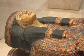 The coffin lid of Iufenamun, Egyptian high priest, presented by Colin Scott-Moncrieff to the Royal Scottish Museum